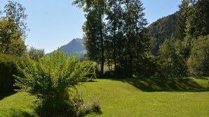 Un champ herbeux avec des arbres et une montagne en arrière-plan.