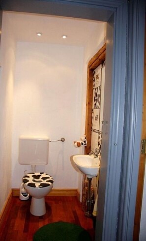 A small bathroom with a toilet, sink, and a mirror with a decorative frame. - Ferienwohnung Teufelsmauer Waldhaus (Blankenburg)