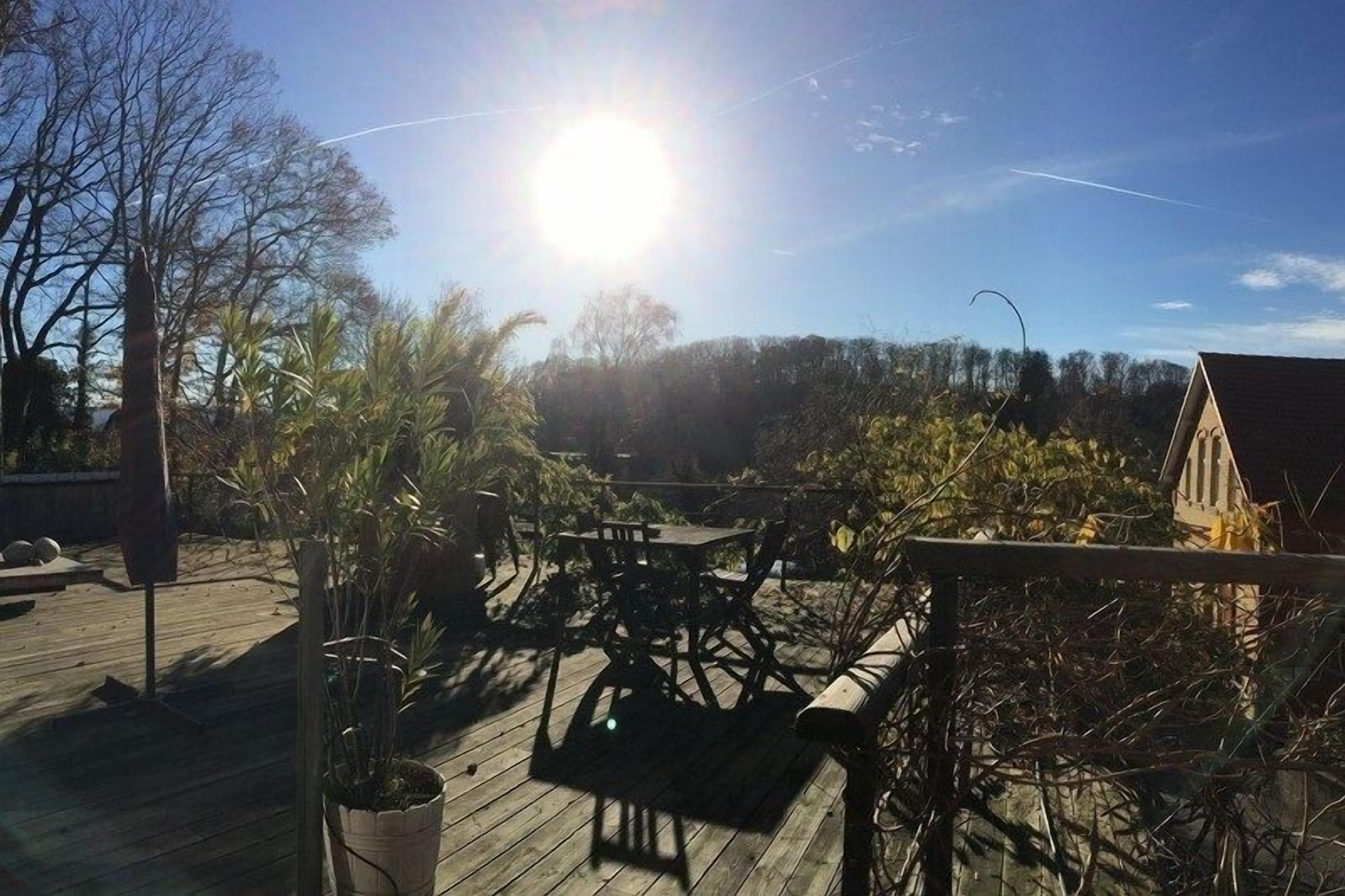 En træterrasse med udendørs møbler, omgivet af vegetation og træer.