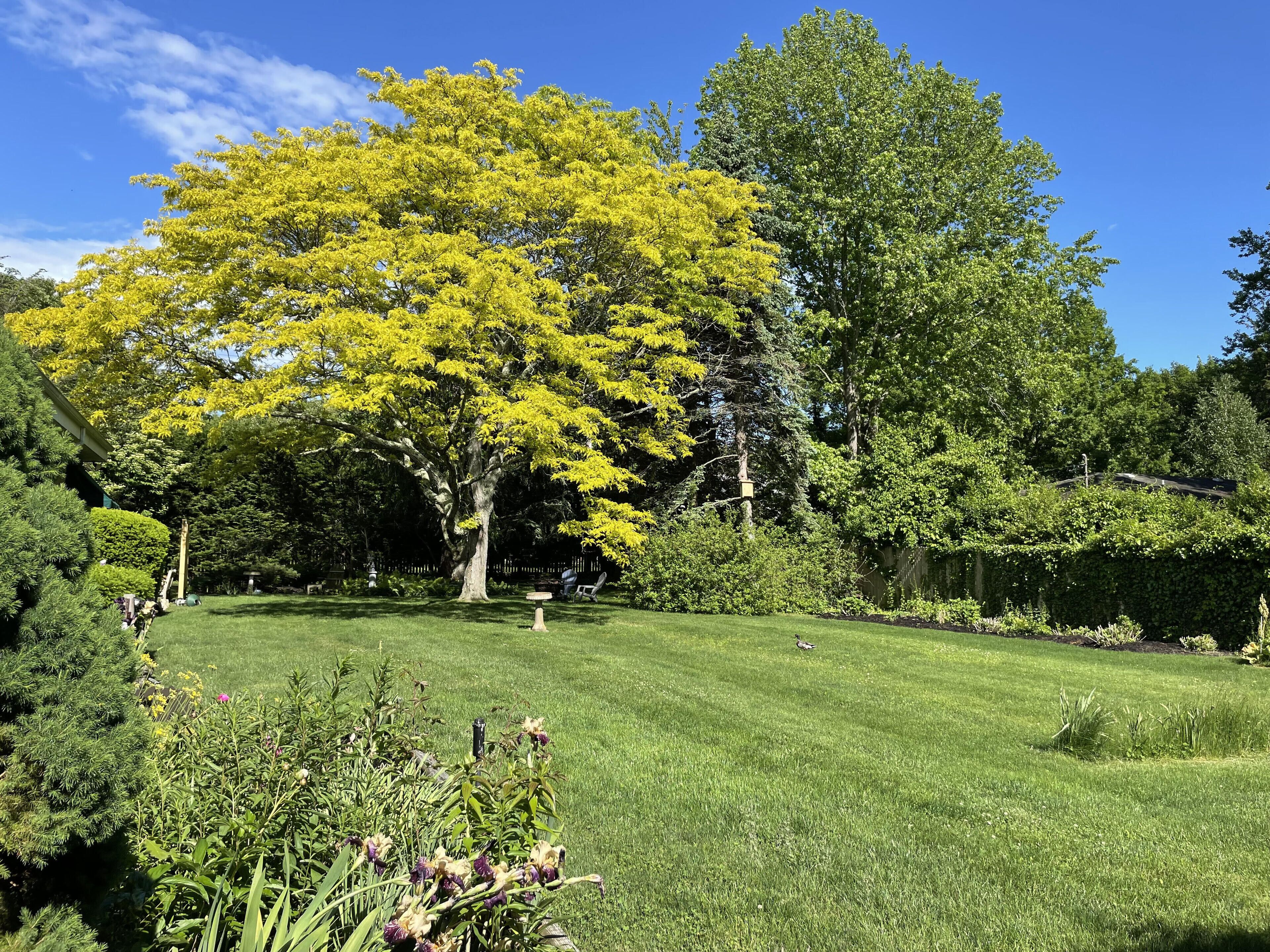 Perfect Cutchogue/Southold -North Fork Vacation Home. Very Private, close to all