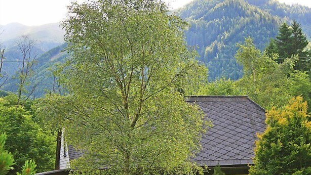 Ein Haus mit schrägem Dach, umgeben von üppigem Grün und Bergen im Hintergrund.