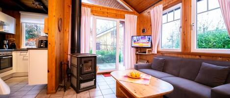 TV, fireplace, DVD player