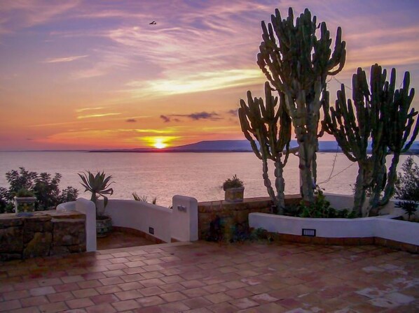 A patio with a view of the sunset over the sea, featuring cacti and potted plants.