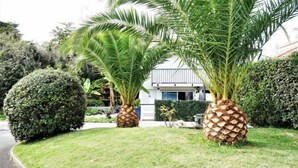 Un césped cuidado con dos grandes plantas decorativas de piña en el centro.