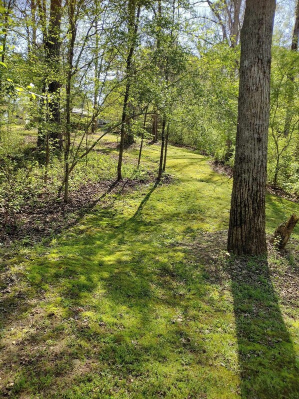 Une zone boisée avec un sentier herbeux et des arbres.