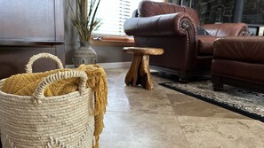 Smart TV, chimenea y libros 