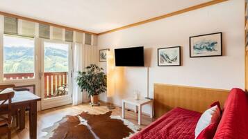 Fernseher