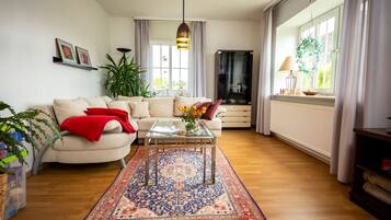 Fernseher, DVD-Player