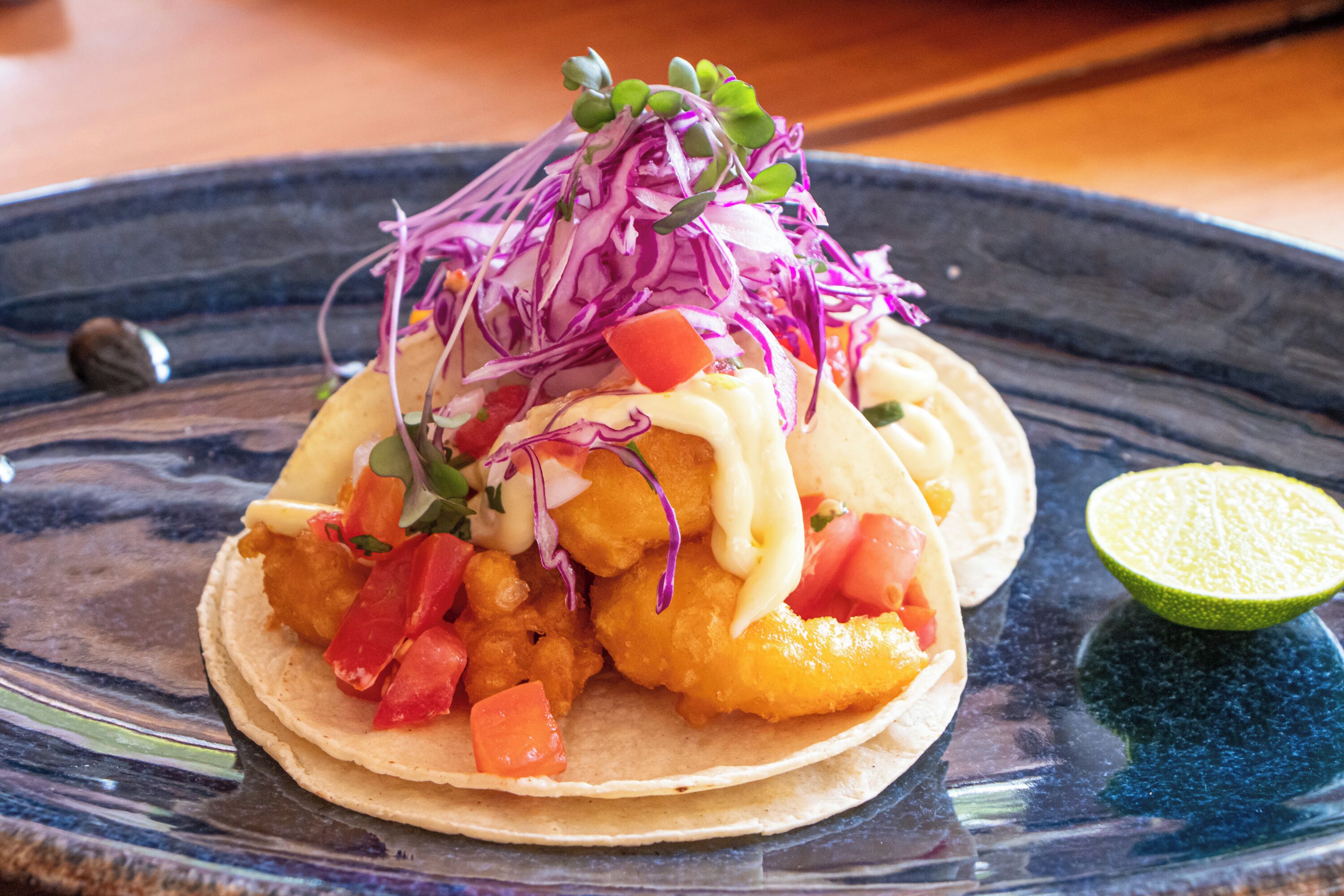 A plate with a taco, topped with a creamy sauce, diced tomatoes, and shredded purple cabbage.