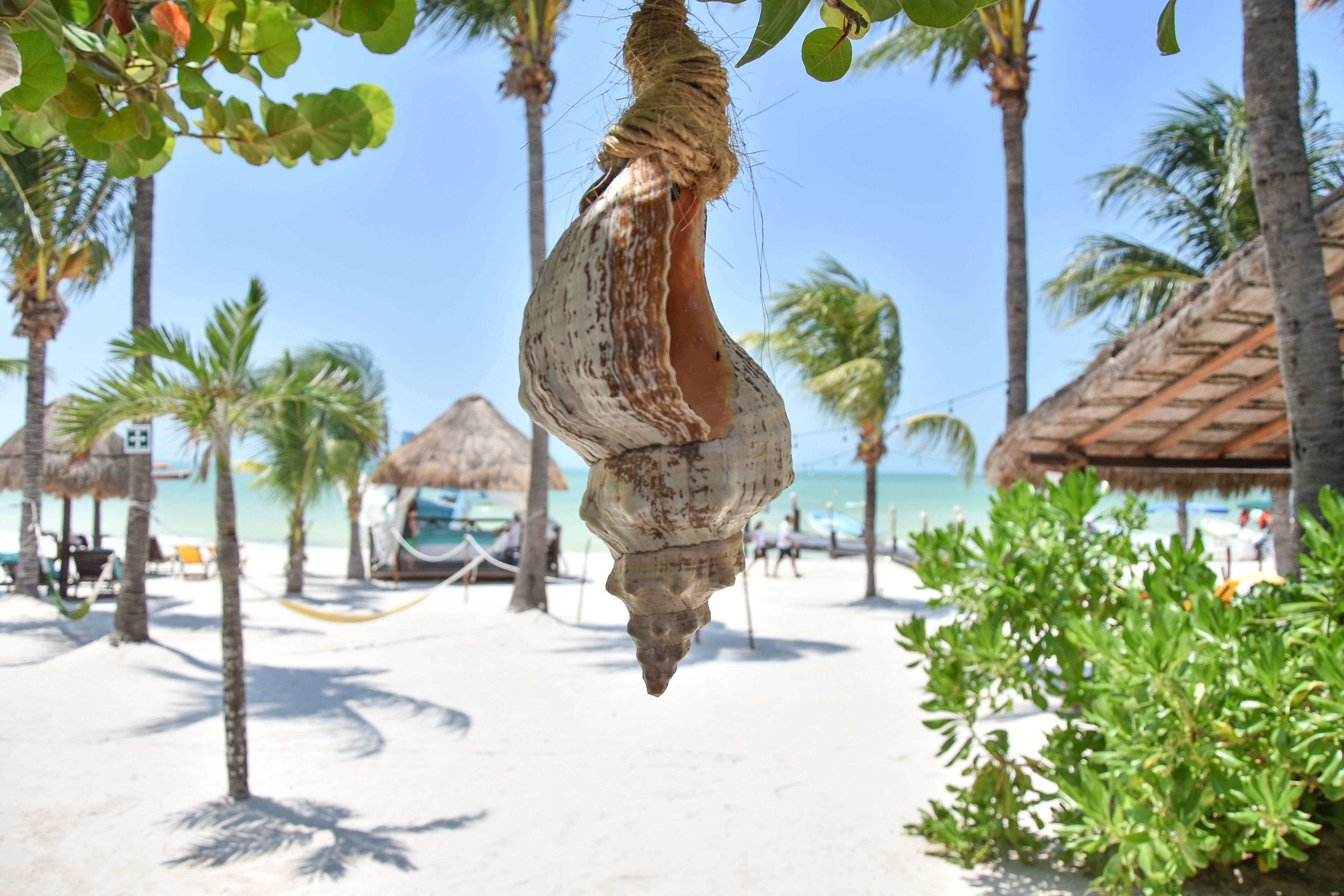 Photo - Amaité Beach Hotel