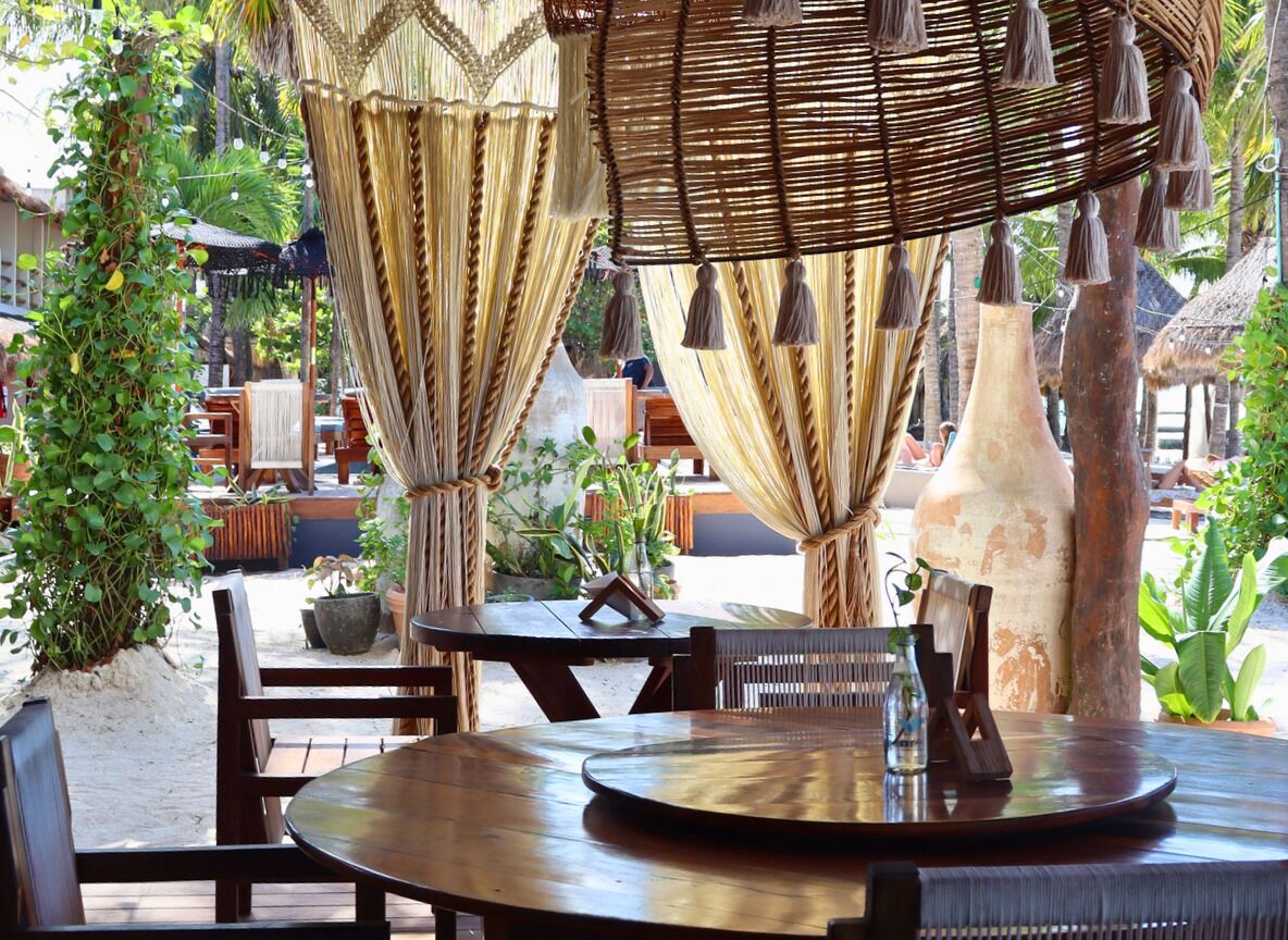Un espacio de comedor al aire libre con mesas y sillas de madera, un toldo tejido en la parte superior y plantas en macetas alrededor.