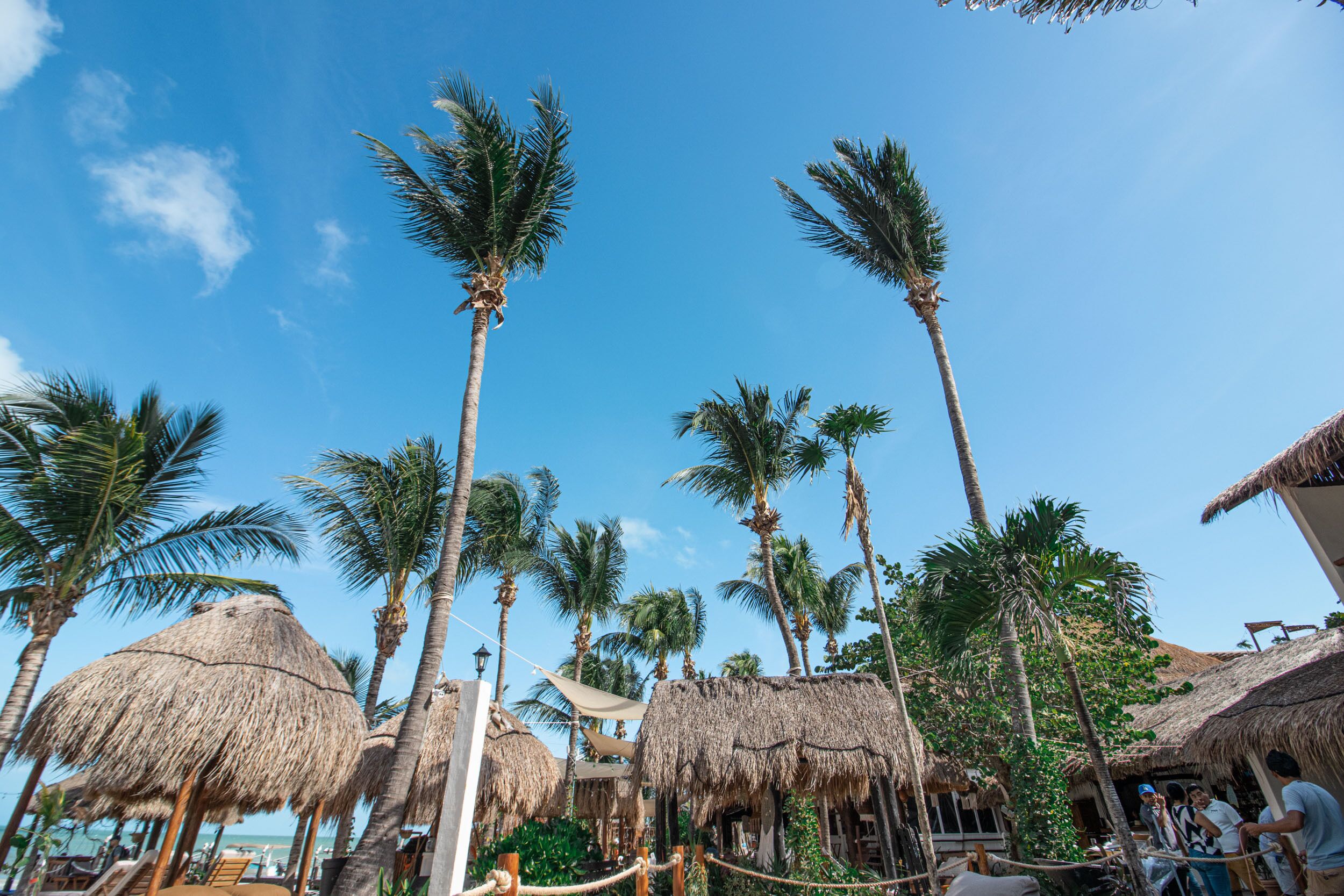 two-bedroom suite | 1 bedroom, minibar, in-room safe, soundproofing