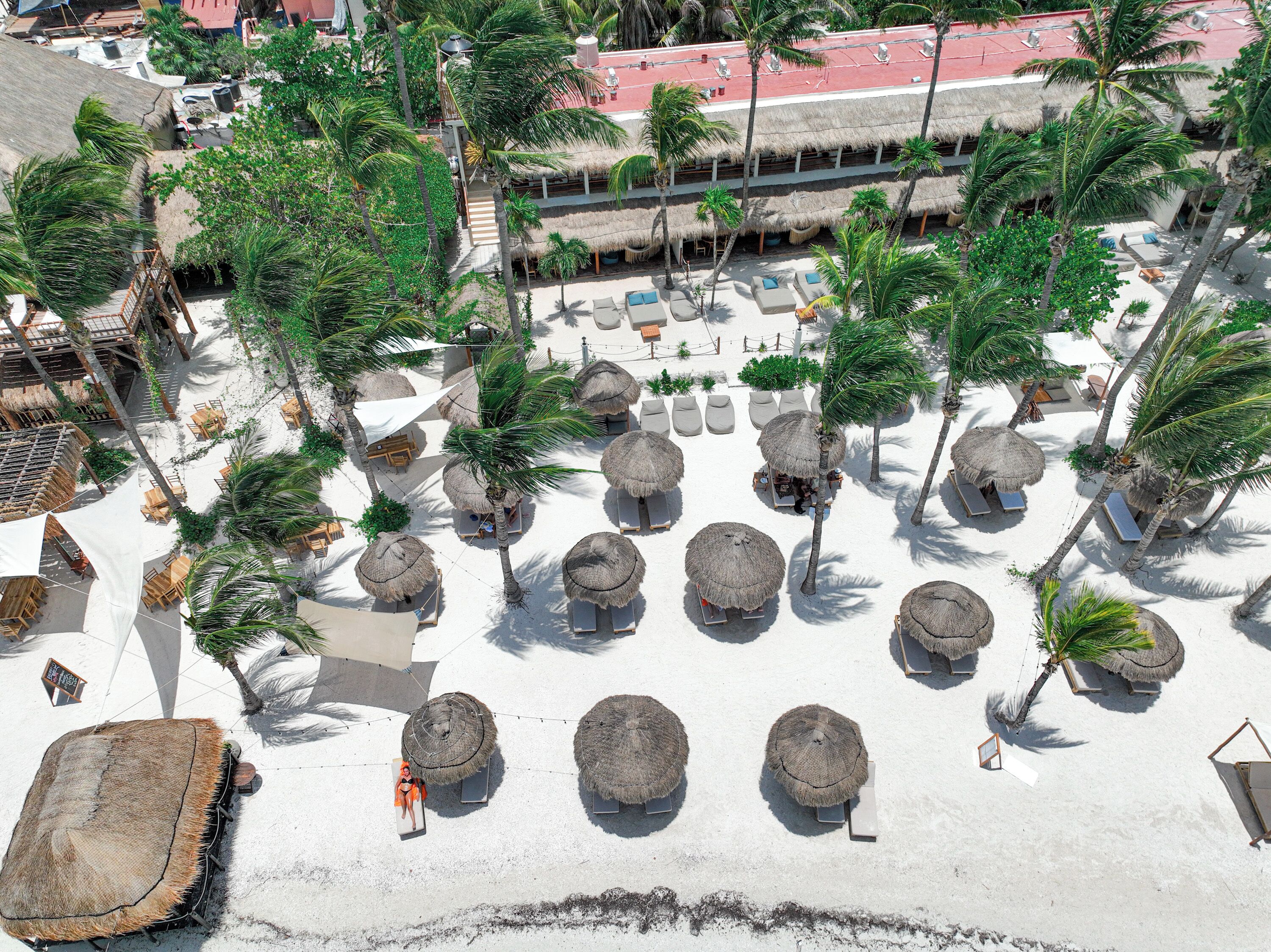 An aerial view of a beach resort with thatched-roof structures, lounge chairs, and palm trees.