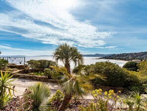Eine Küstenlandschaft mit einer Palme, verschiedenen Sträuchern und Blick auf das Meer sowie ferne Hügel.