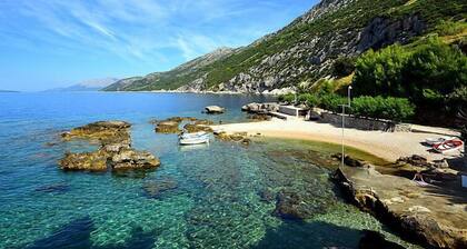Plavac Mali by Interhome