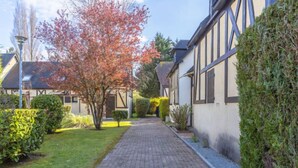 Een smal pad van bakstenen, afgeboord door strakke hagen en een rij traditionele huizen met donkere details en witte muren.