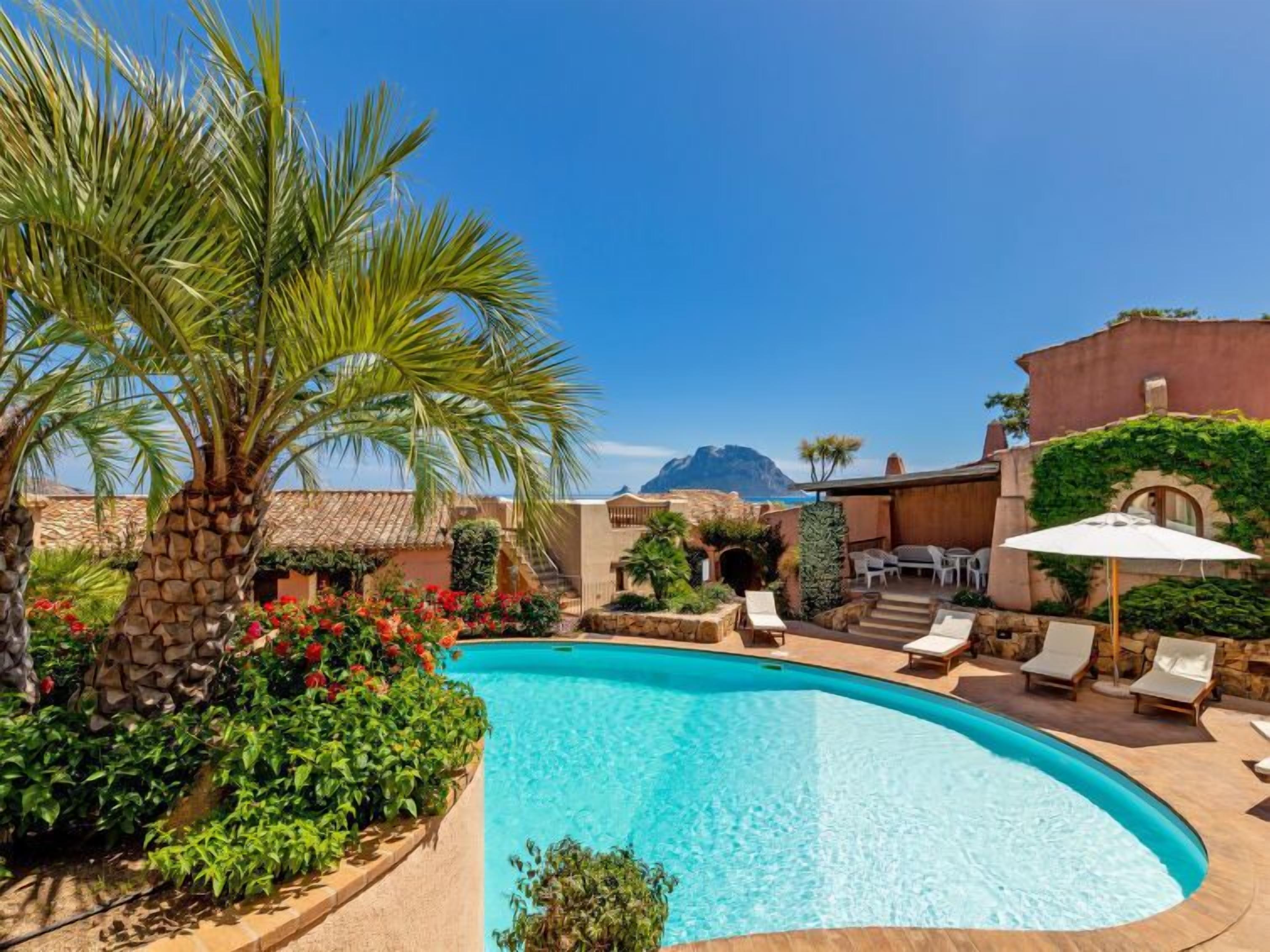 A swimming pool with lounge chairs and a palm tree.