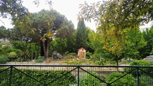 Ein Garten mit einer Holzbank, einer kleinen Holzhütte und verschiedenen Bäumen und Sträuchern.