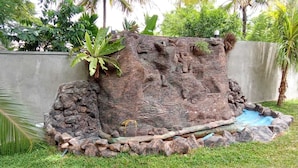A rock garden with a small pond, surrounded by grass and tropical plants. - White House Holiday Home (Maspotha)