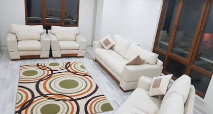 Aysel APT