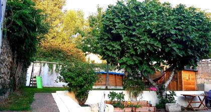 Charming house at 2 steps from the castle langeais