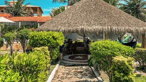 A thatched-roof structure with a paved pathway leading to it, surrounded by lush greenery and palm trees. - Pousada La Goduria (Aracati)