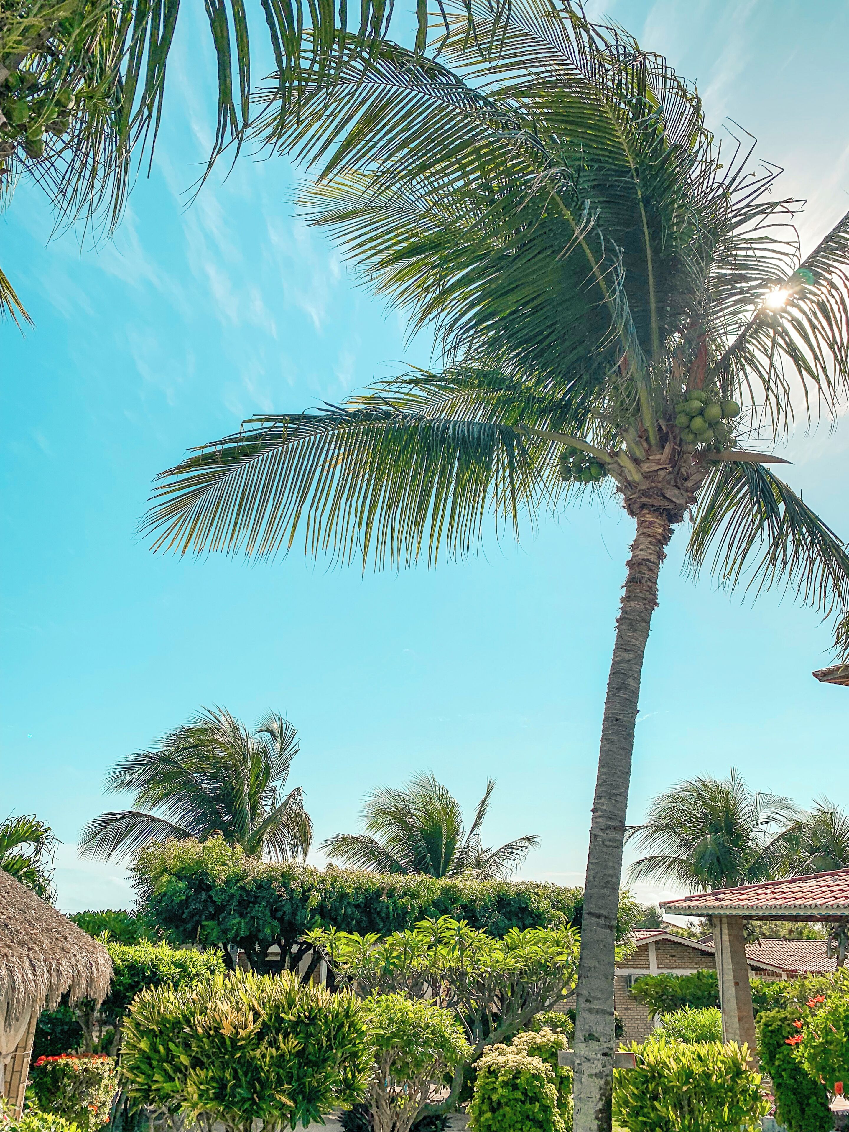 Foto - Pousada La Goduria