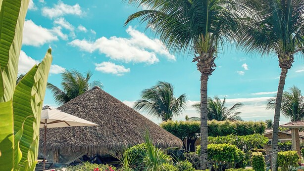 A tropical garden with palm trees, a thatched-roof structure, and a variety of plants and flowers. - Pousada La Goduria (Aracati)