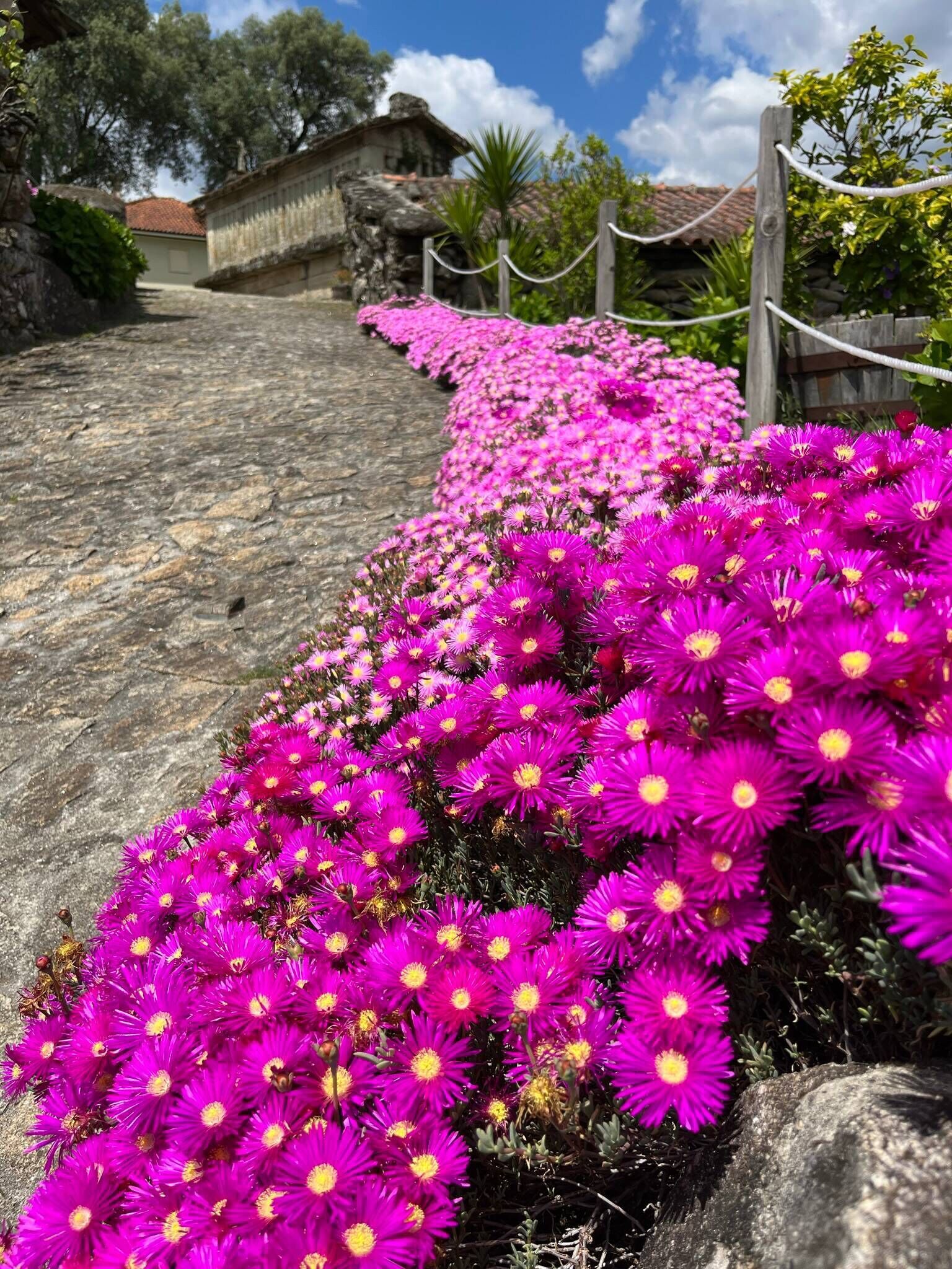 Un chemin de pierres bordé de fleurs roses éclatantes mène à un bâtiment en pierre au style rustique.