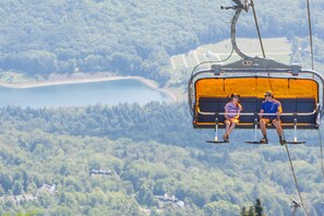Ride the cable car over a serene body of water, surrounded by lush forest.