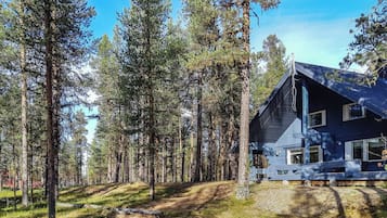 En stuga omgiven av höga tallar under en klar himmel.