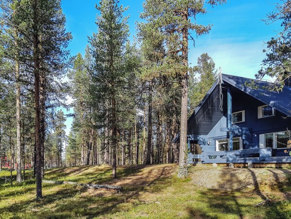 A cabin surrounded by tall pine trees with a clear sky.