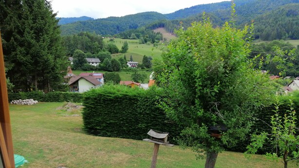 A view from a window overlooking a green landscape with a house, a hedge, and a bird feeder.