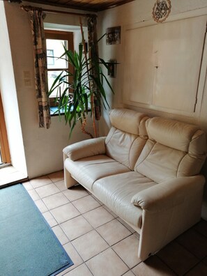 Televisio, takka, leluja