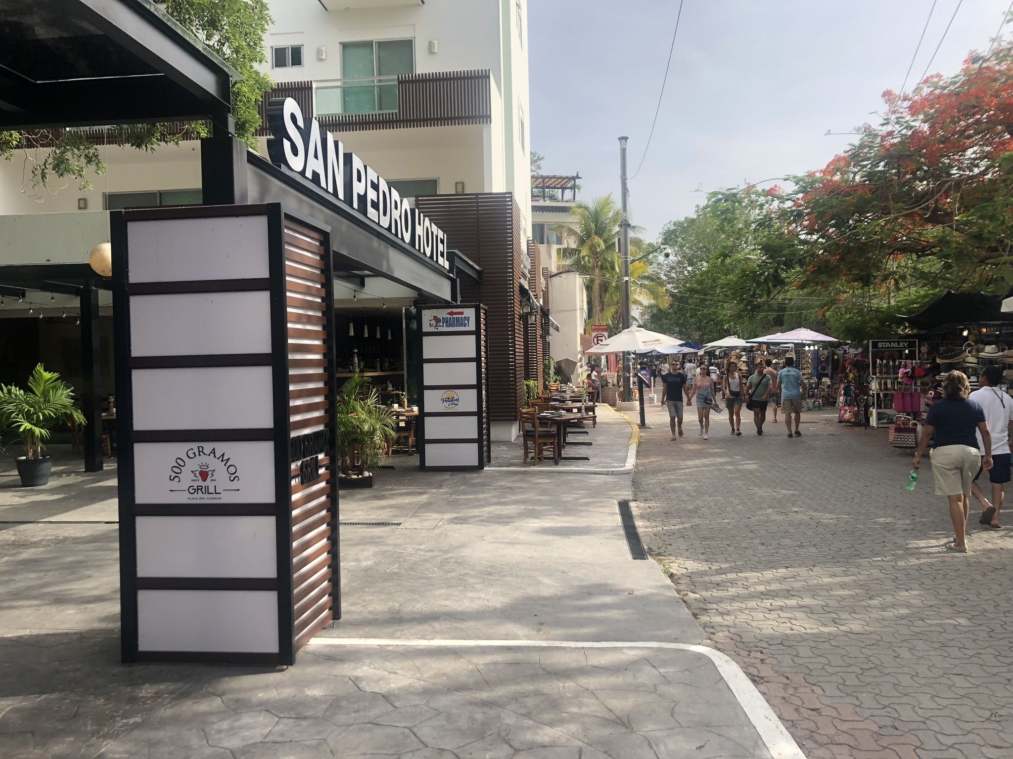 Foto - San Pedro Hotel, 5ta Avenida