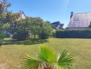 Área residencial com gramado bem cuidado, uma grande árvore e uma casa com chaminé aparente.