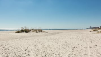 On the beach