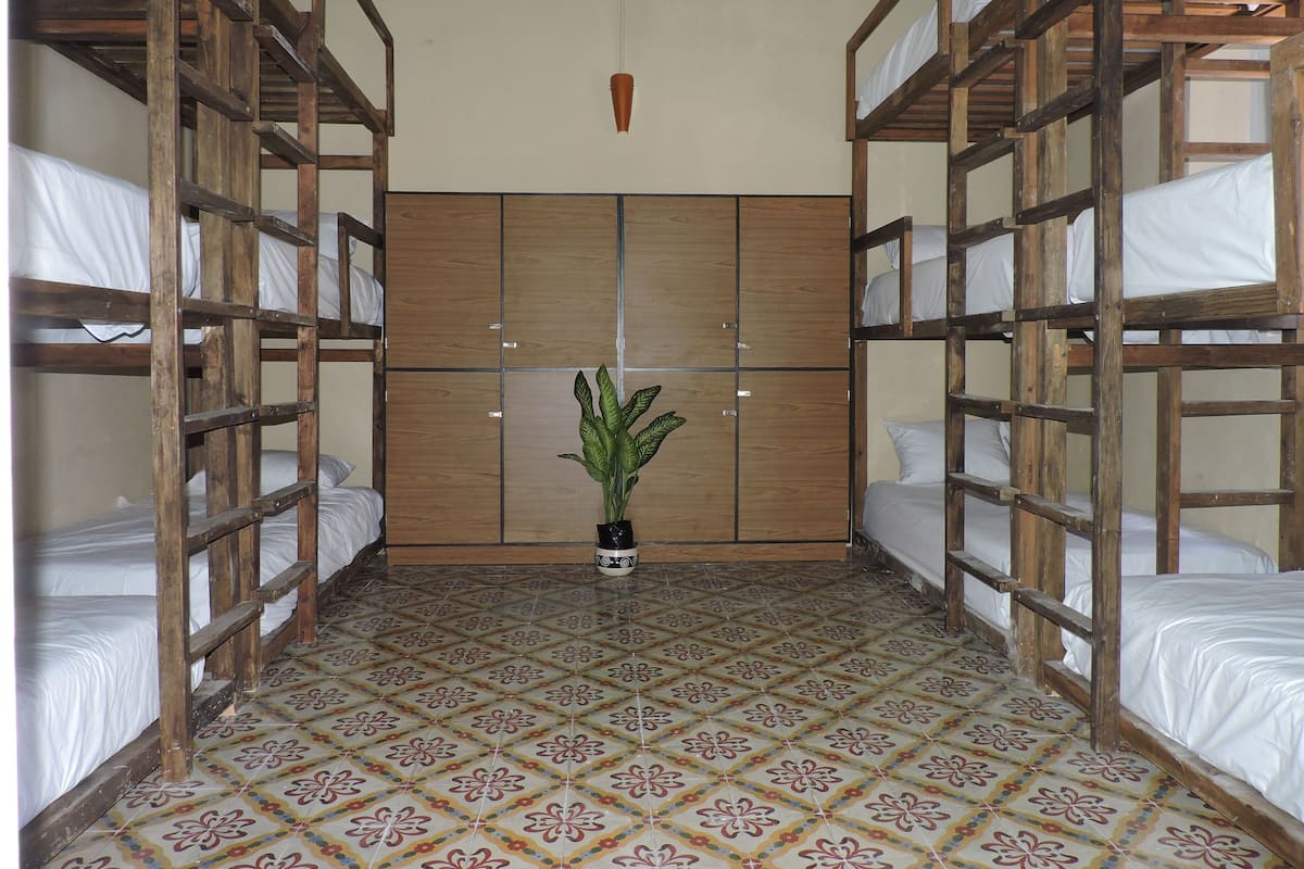 A room with bunk beds, a potted plant, and a tiled floor.
