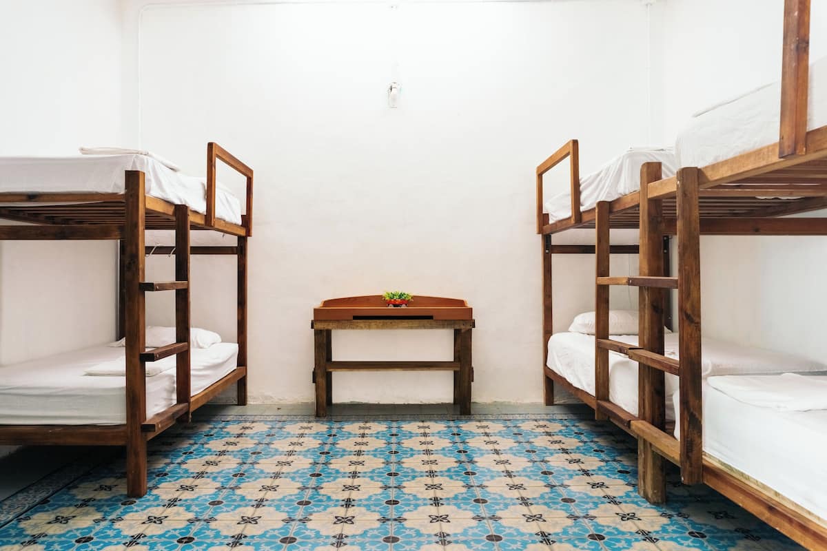 A small, clean room with two wooden bunk beds and a small table with a plant.