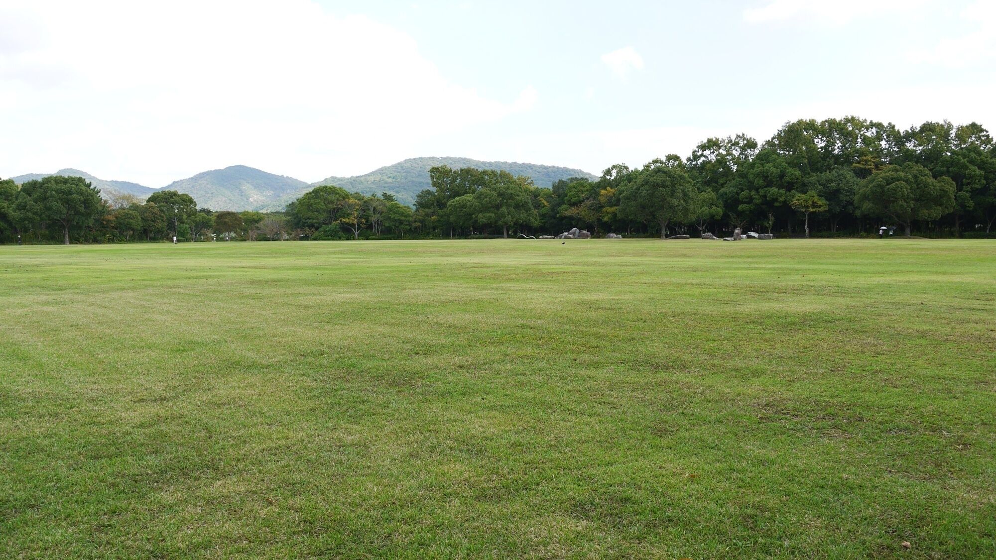 Un campo cubierto de hierba con árboles y montañas al fondo.