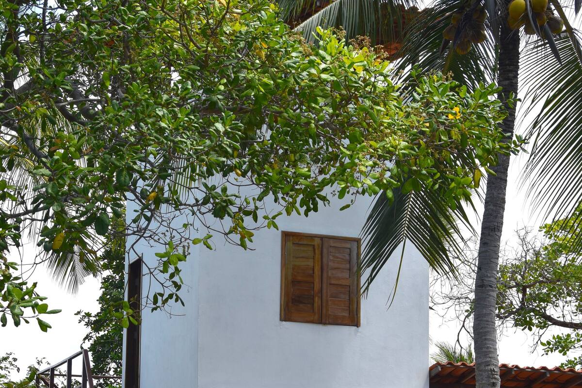 Un edificio blanco con dos puertas de madera, una escalera de madera y una palmera.