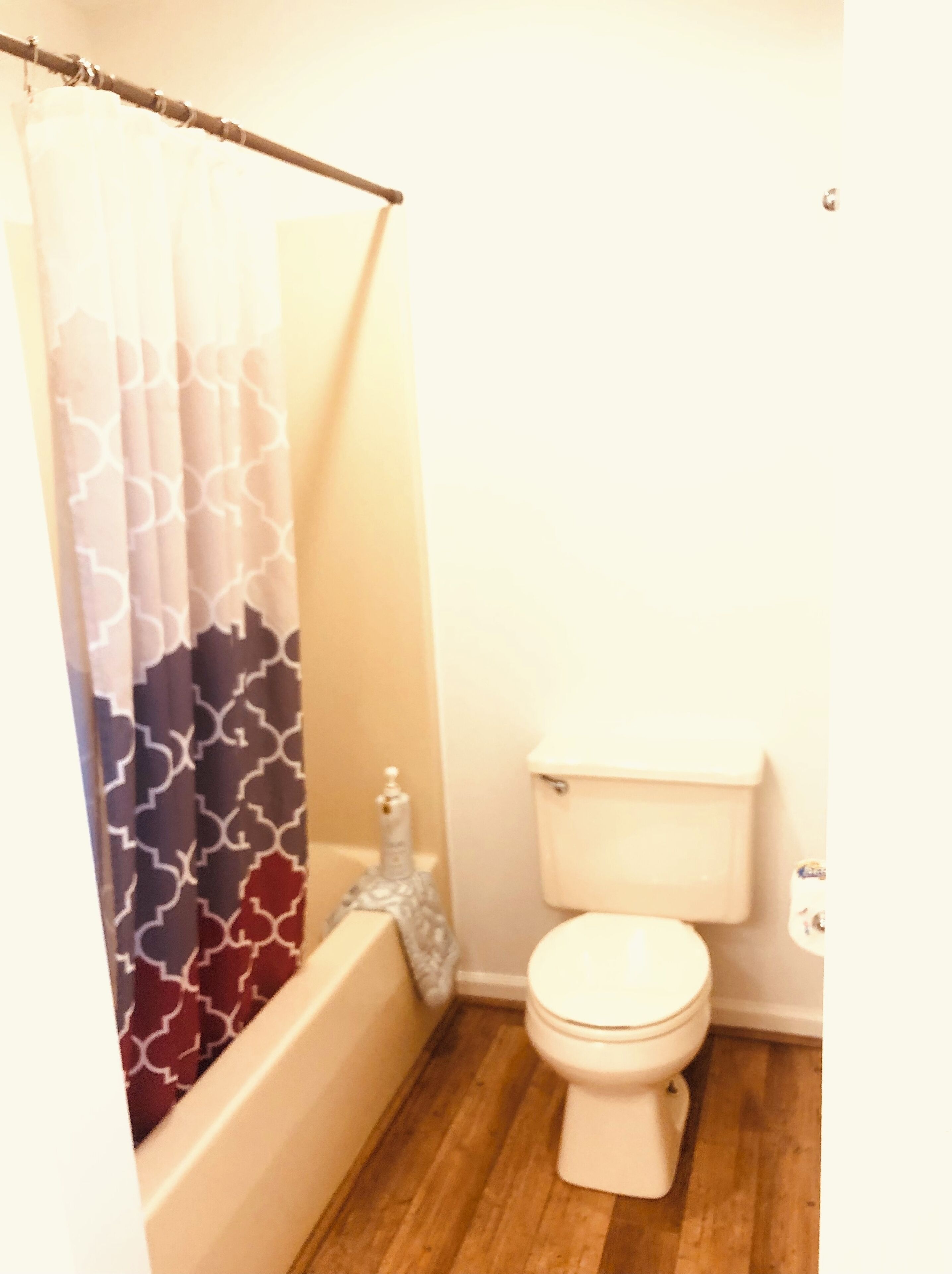 A bathroom with a toilet, a bathtub, and a shower curtain.