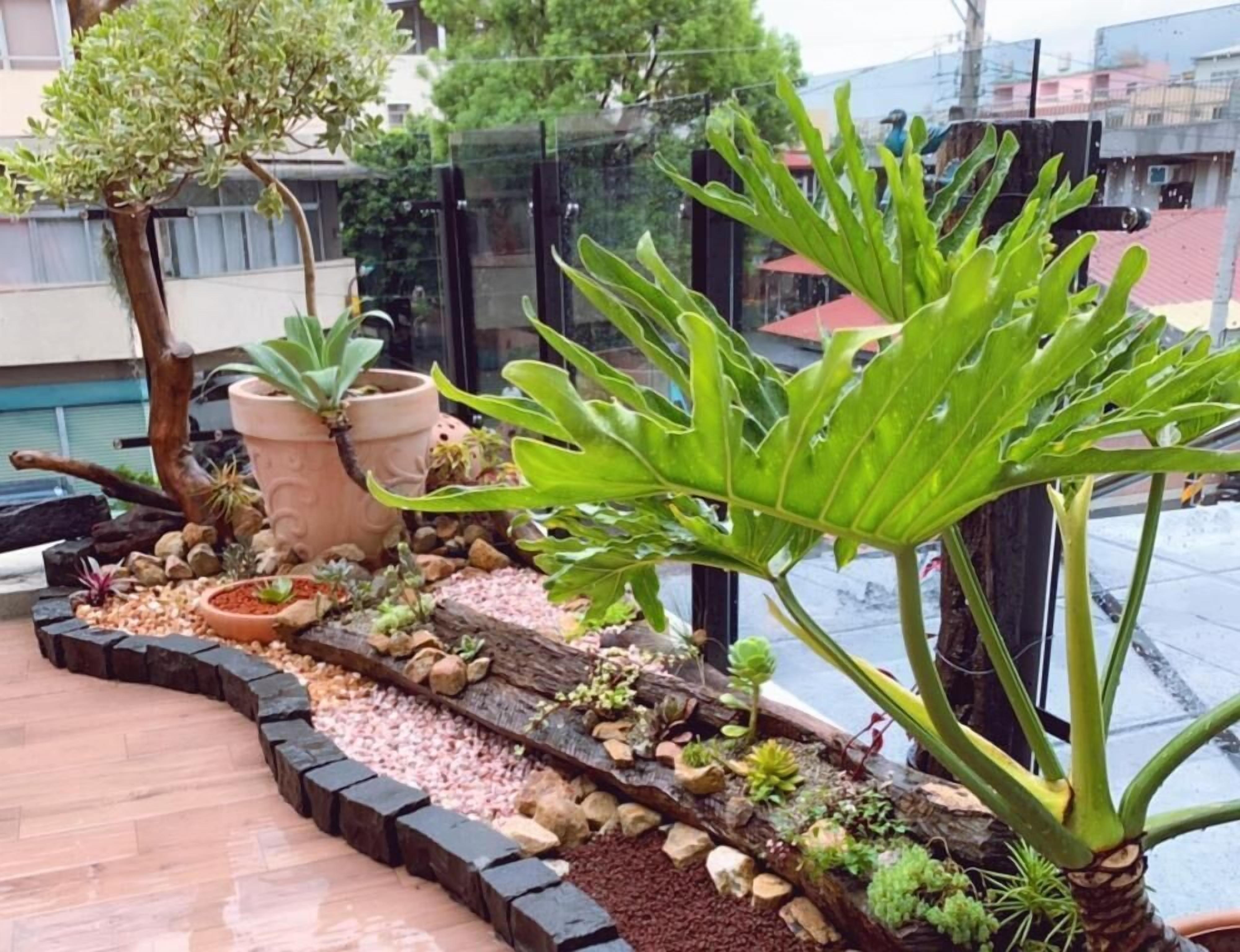 Classic Double Room, Patio | Balcony view