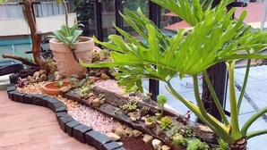 Un balcon agrémenté de divers pots de plantes, d’un petit arbre et d’une bordure en rondins de bois.