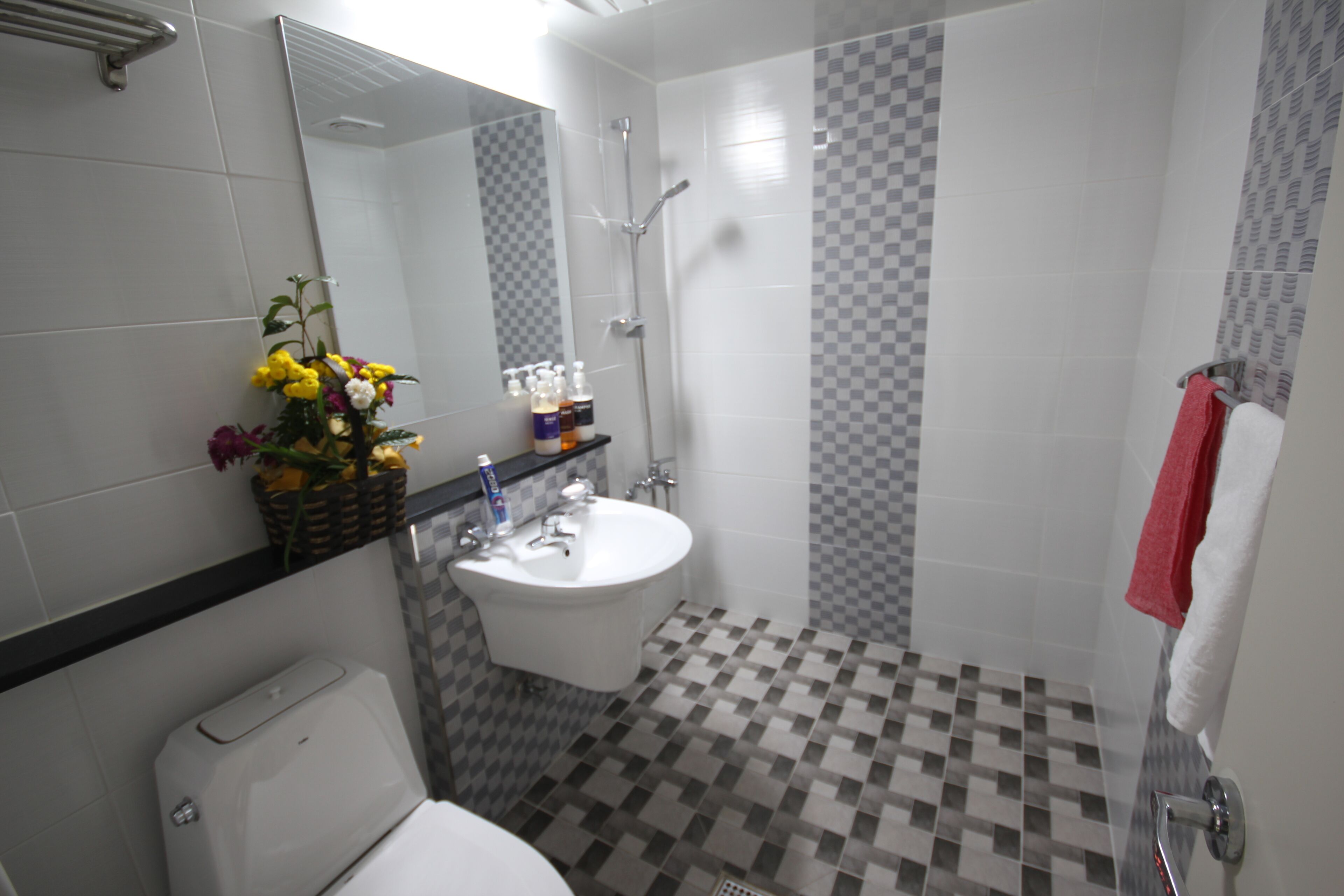 Un bany amb un lavabo blanc, un mirall, una dutxa i un vàter.