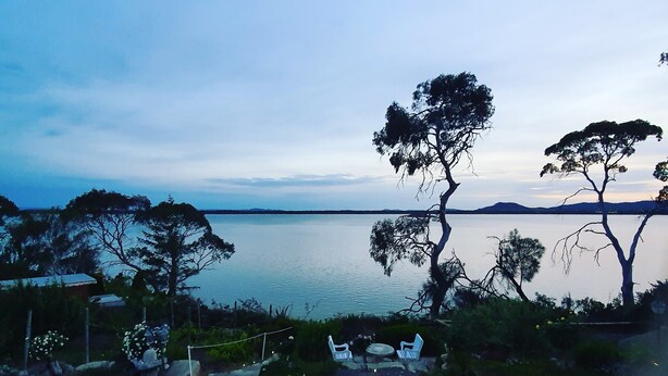 Udsigt over en sø med træer, klar himmel og stille vand.