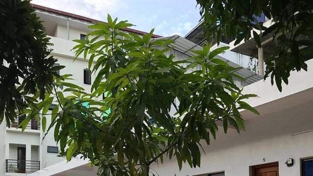 A courtyard with hexagonal tiled flooring, potted plants, and a white building with multiple doors and windows. - MN Apartment (Siem Reap)
