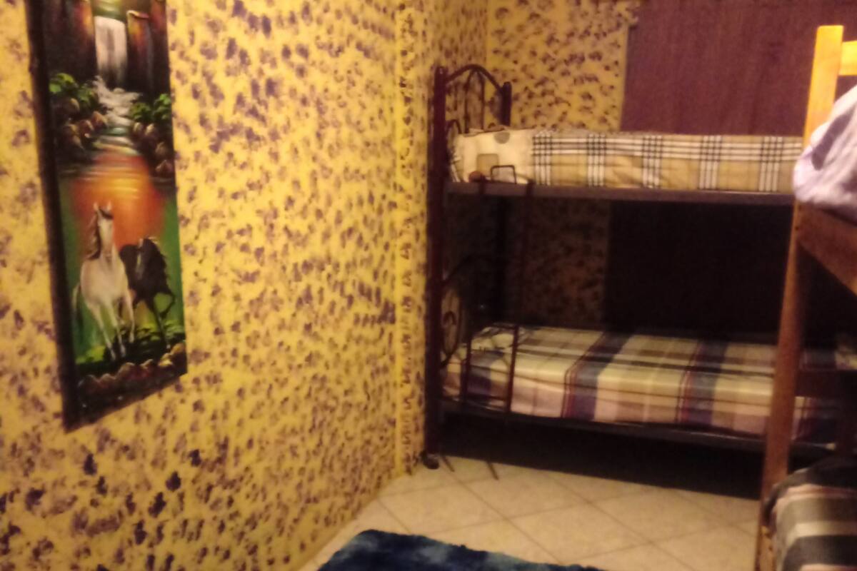 Una habitación con papel tapiz estampado, una cama litera, un tapete azul y un cuadro en la pared.