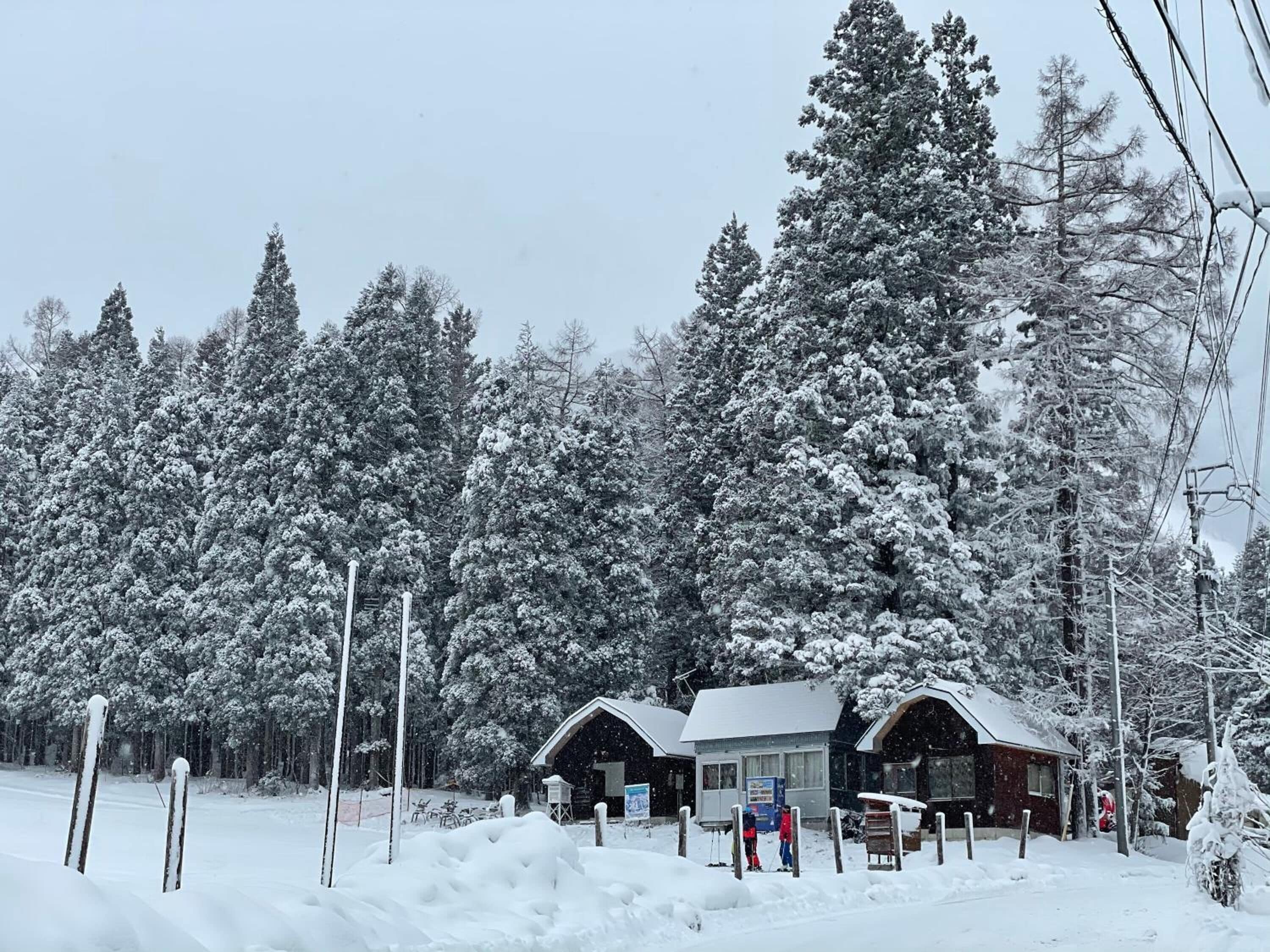 A snow-covered lodge with two main buildings, surrounded by tall, snow-laden trees.