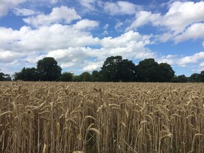 Unclassified image, 5 of 17, button